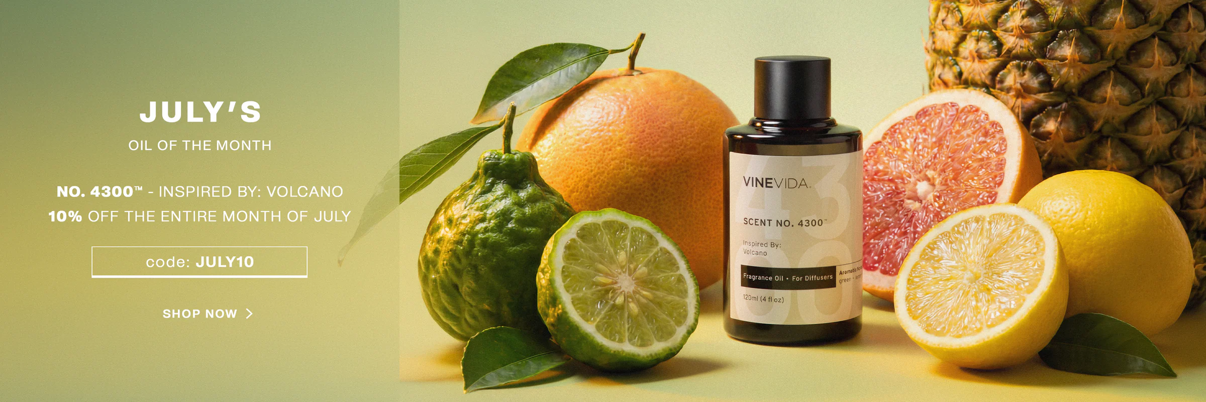 Pure Scents, Unbeatable Wholesale Prices